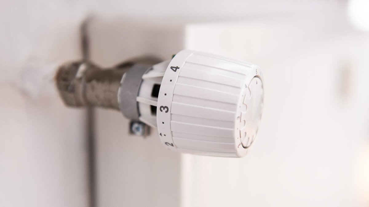    Фото: Silas Stein/globallookpress.com