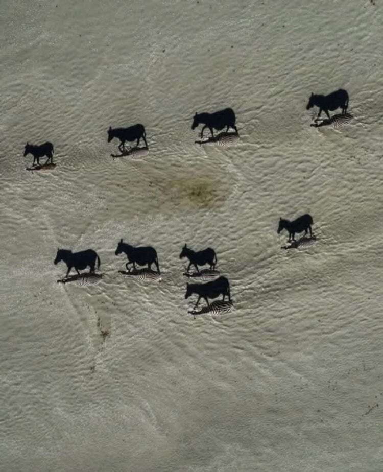 Источник: rinlen222/reddit