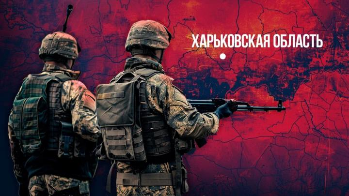 Коллаж ИА "Новороссия".