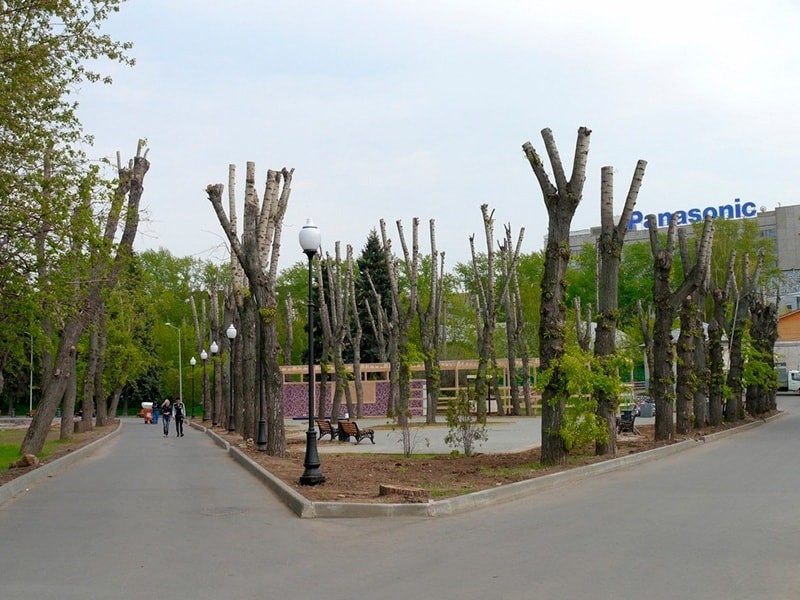 Источник: «Нобили» 