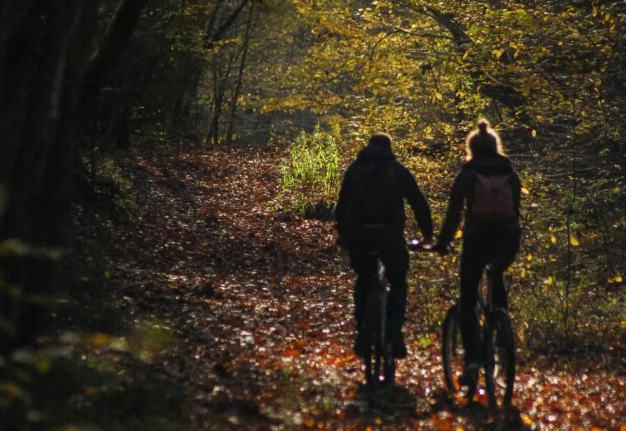 ФОТО Gera Alex on Unsplash