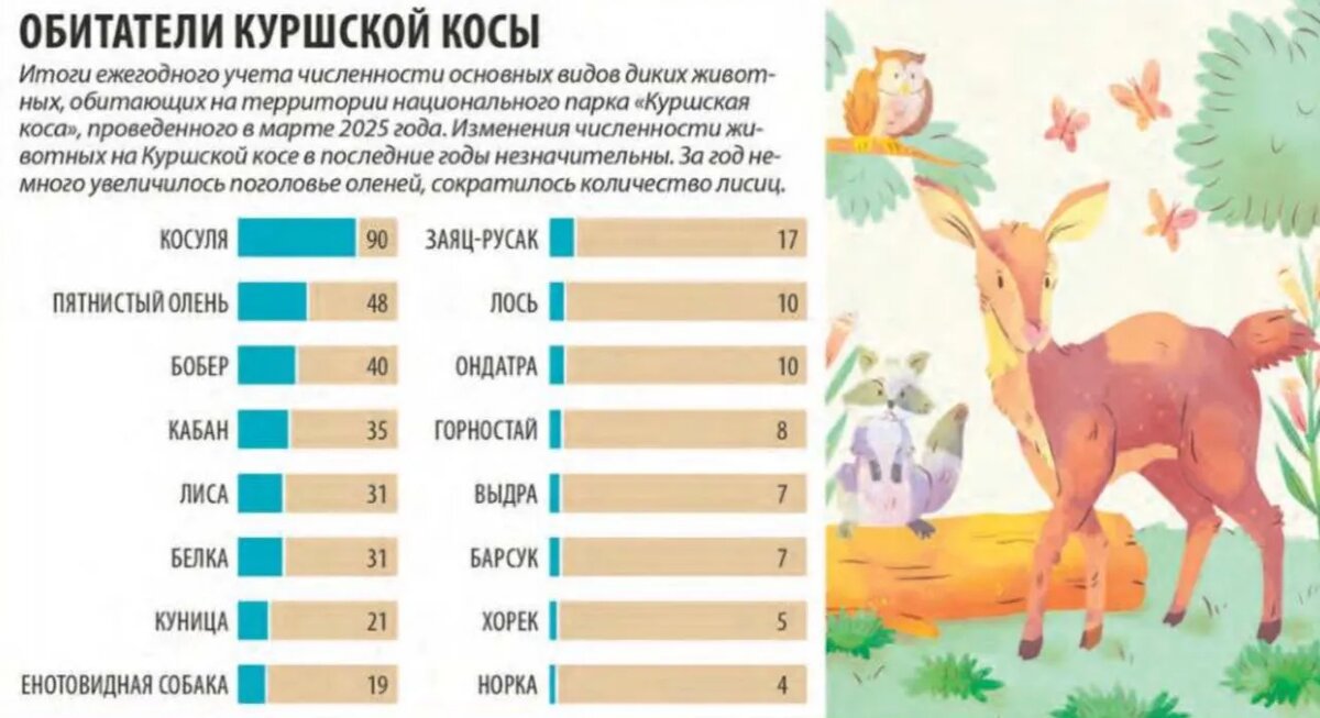 ФОТО freepik.com/ИНФОГРАФИКА Ирины ГАБОВОЙ