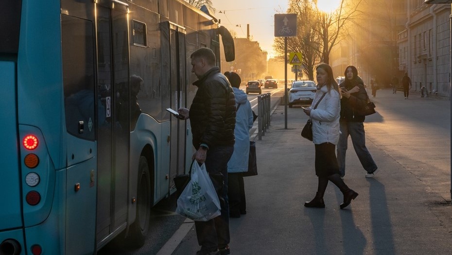    Автор фото: Тихонов Михаил/ДП