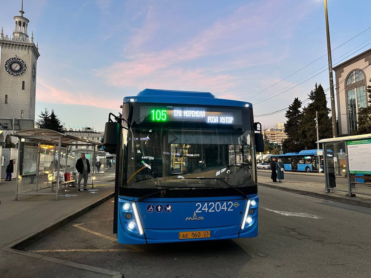 Фото: Telegram/МУП г.Сочи «Сочиавтотранс»  📷
