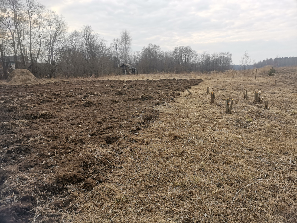 Много - не мало 