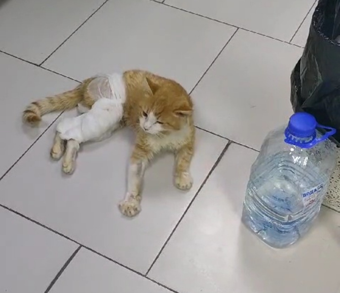 Вот так с пола забирали в Москву...