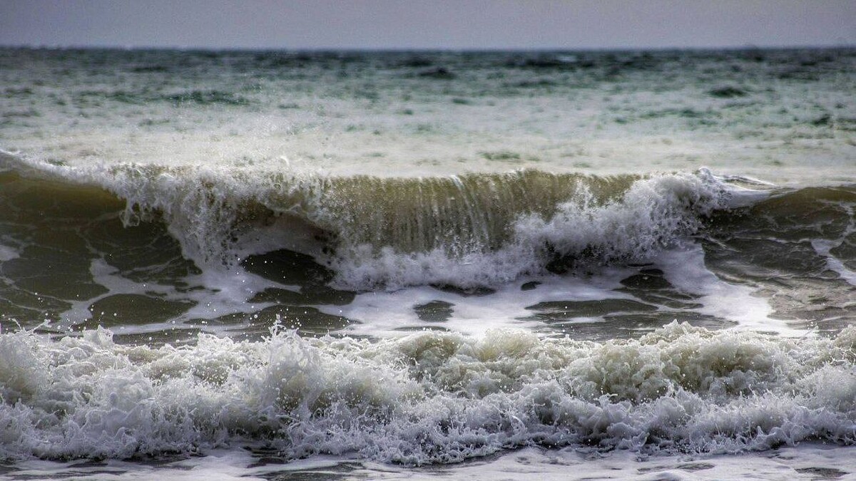    фото: телеканал «Краснодар»