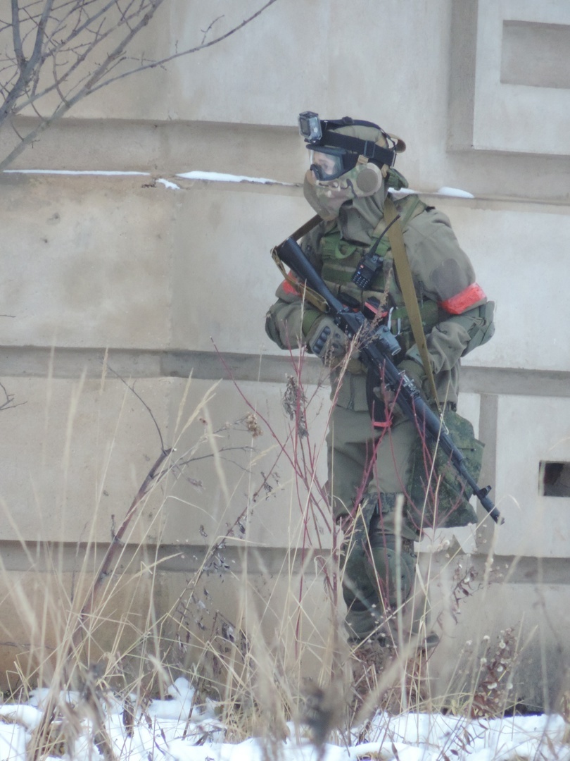 Это я высматриваю, во что бы еще такое засунуть свою любопытную мордочку