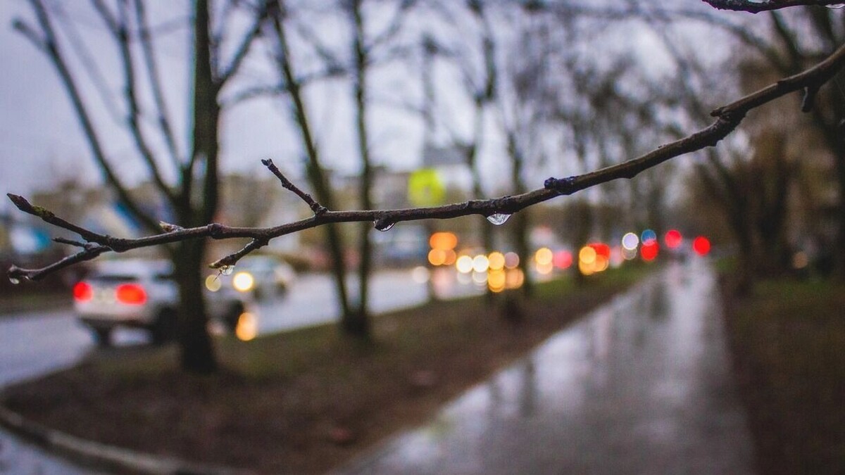     Источник: 1MI