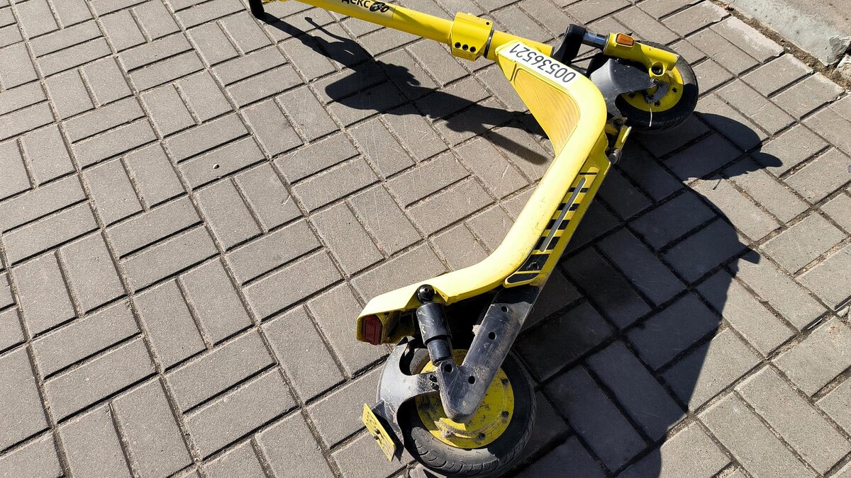    Фото: Maksim Konstantinov/globallookpress.com