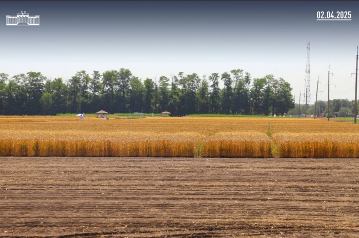    t.me/yuriy_burlachko