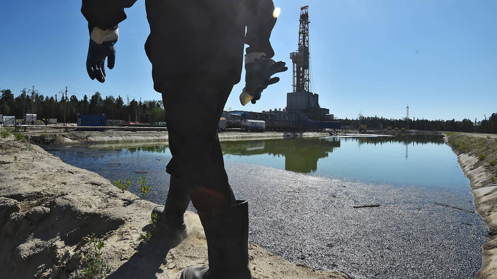 Фото: Анатолий Жданов / Коммерсантъ