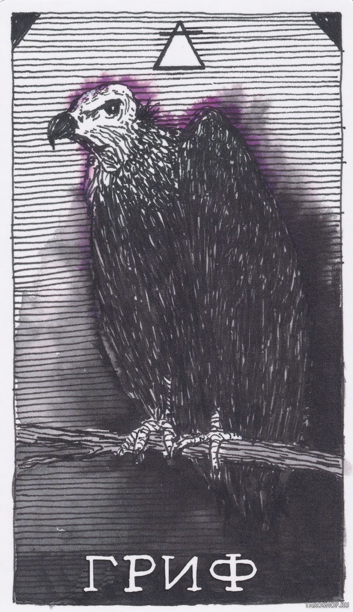 Фото из сети