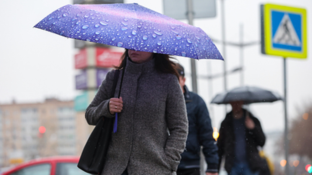    Фото: Belkin Alexey/Globallookpress.