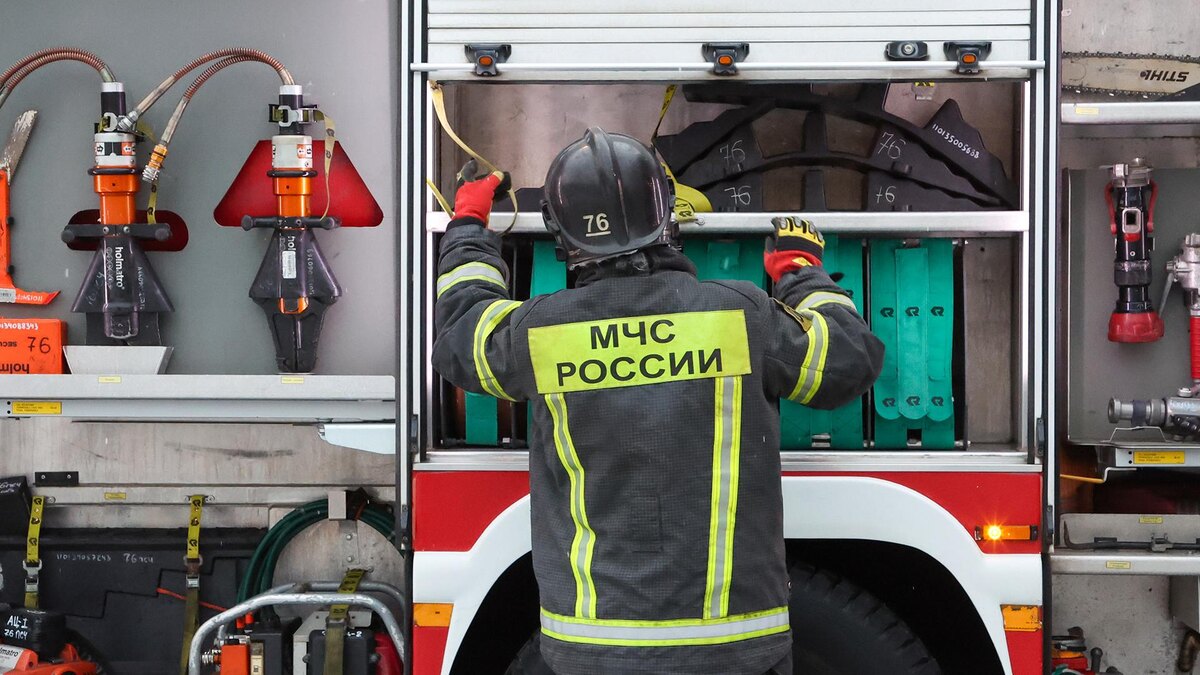    Фото: Belkin Alexey/globallookpress.com