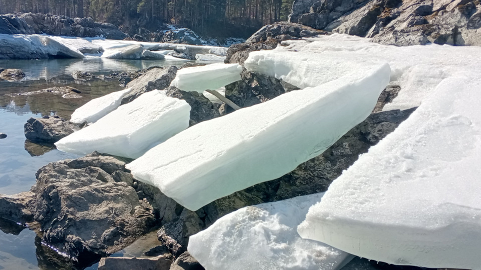 Катунь уже скидывает свою ледовую шубку.