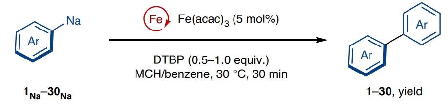   Ikko Takahashi et al. / Nature Synthesis, 2025