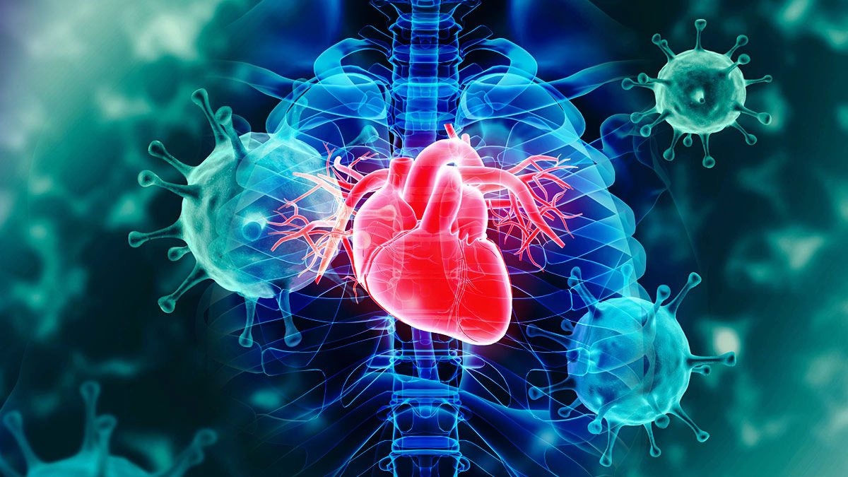 Вирусы и сердце: скрытая угроза, о которой мало кто задумывается