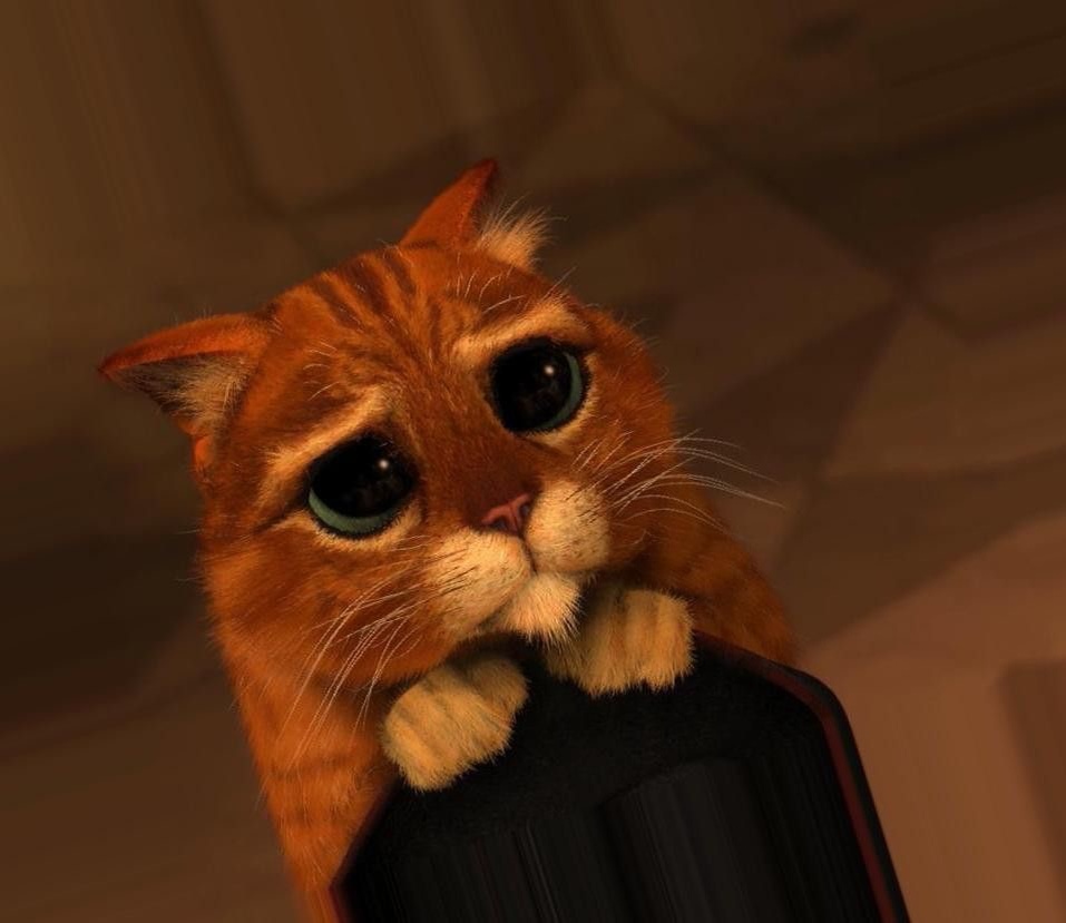 Коты — это не просто любимцы миллионов людей по всему миру. Они стали настоящими культовыми персонажами в киноиндустрии и мультфильмах, олицетворяющими множество качеств и эмоций. В этой статье мы рассмотрим, как пушистые герои завоевали экранное пространство и какое значение они имеют в культуре и искусстве.