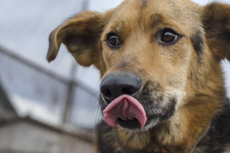 Таким он был в юности