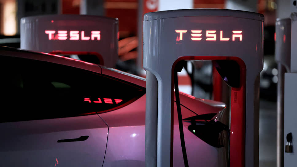 Фото: Vincent West / Reuters