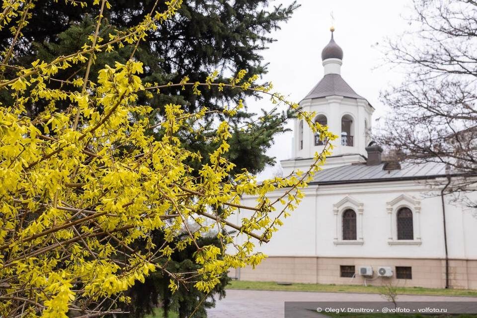    Фото: Олег Димитров / "Городские вести"