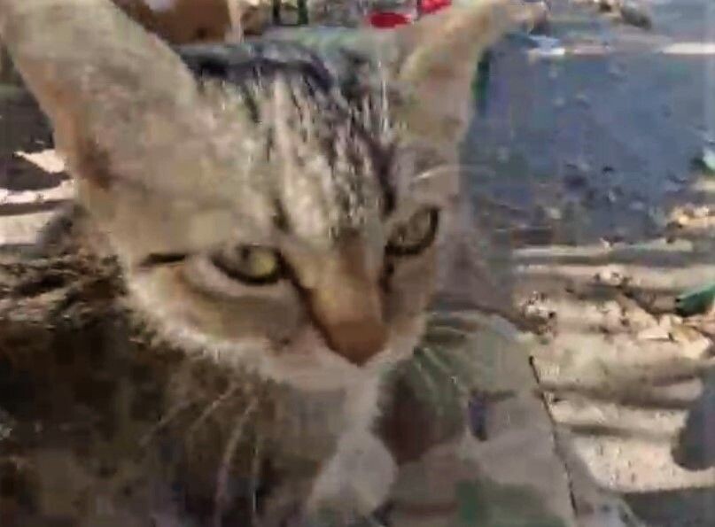     / Источник: Кадр из видео