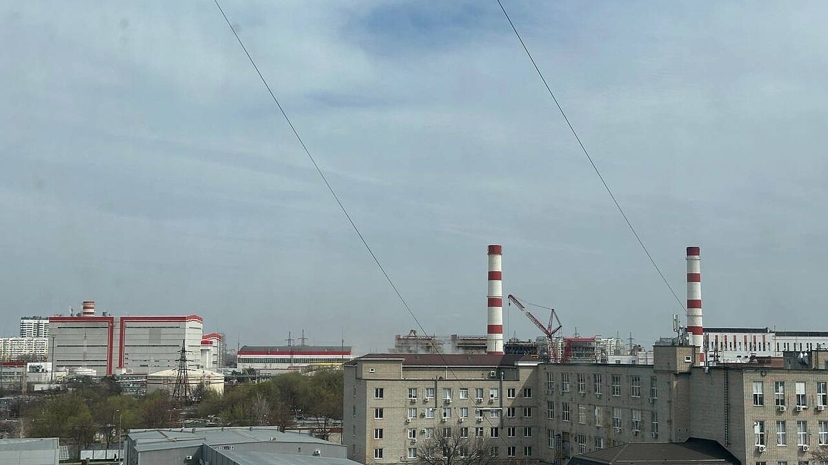    фото: телеканал «Краснодар»