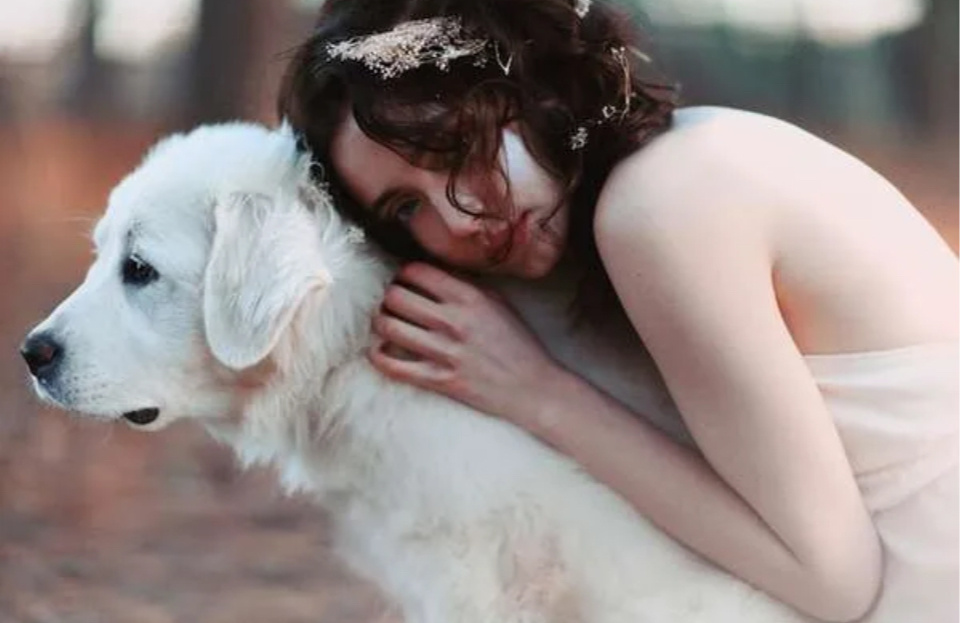 Яндекс.картинки для обложки