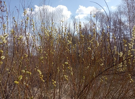 Фотография из личного архива автора