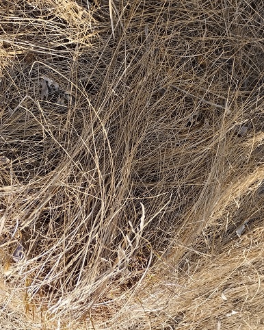 Фотография из личного архива автора