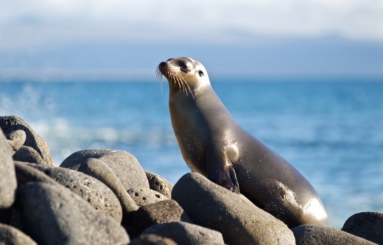    Shutterstock/FOTODOM