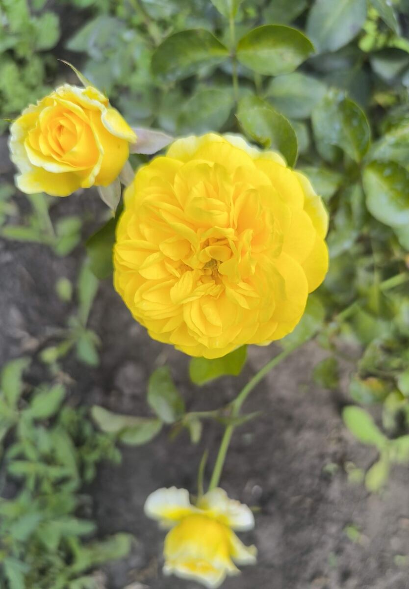 фото Татьяны