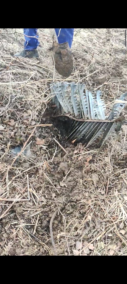 Вот одна из находок. Что это?