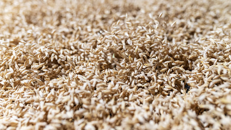 Фото: Игорь Елисеев / Коммерсантъ