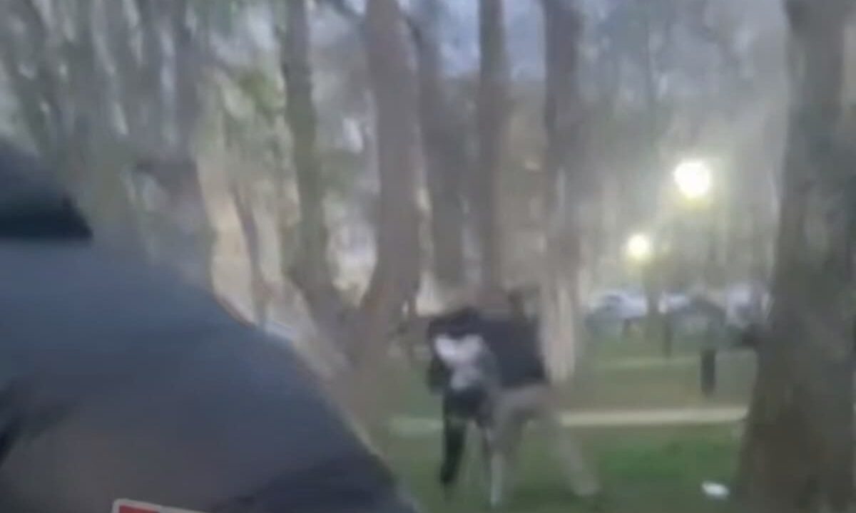    Фото t.me/pva_chp/22686