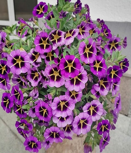 Фотография из личного архива автора