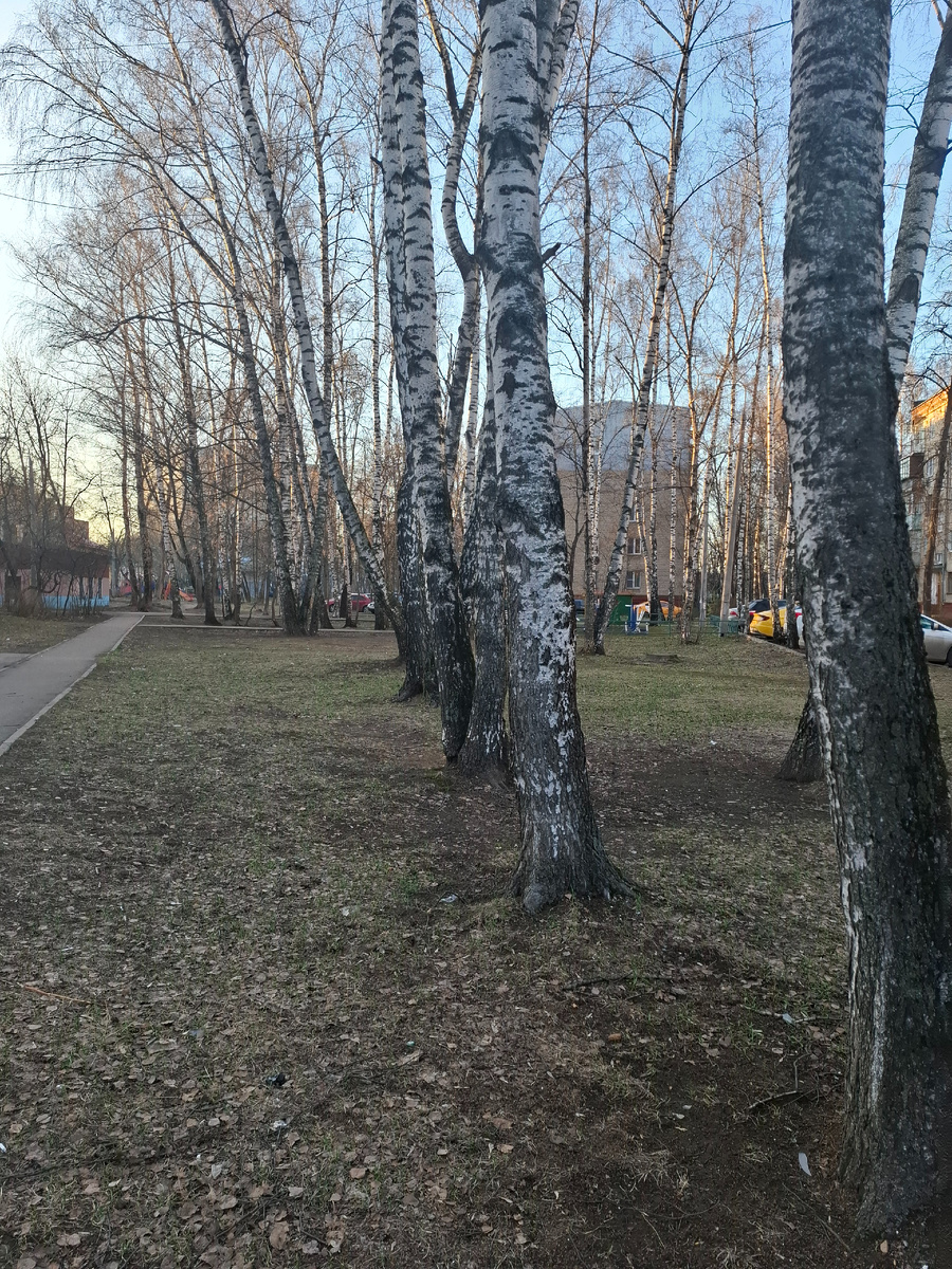 Мой дворик.