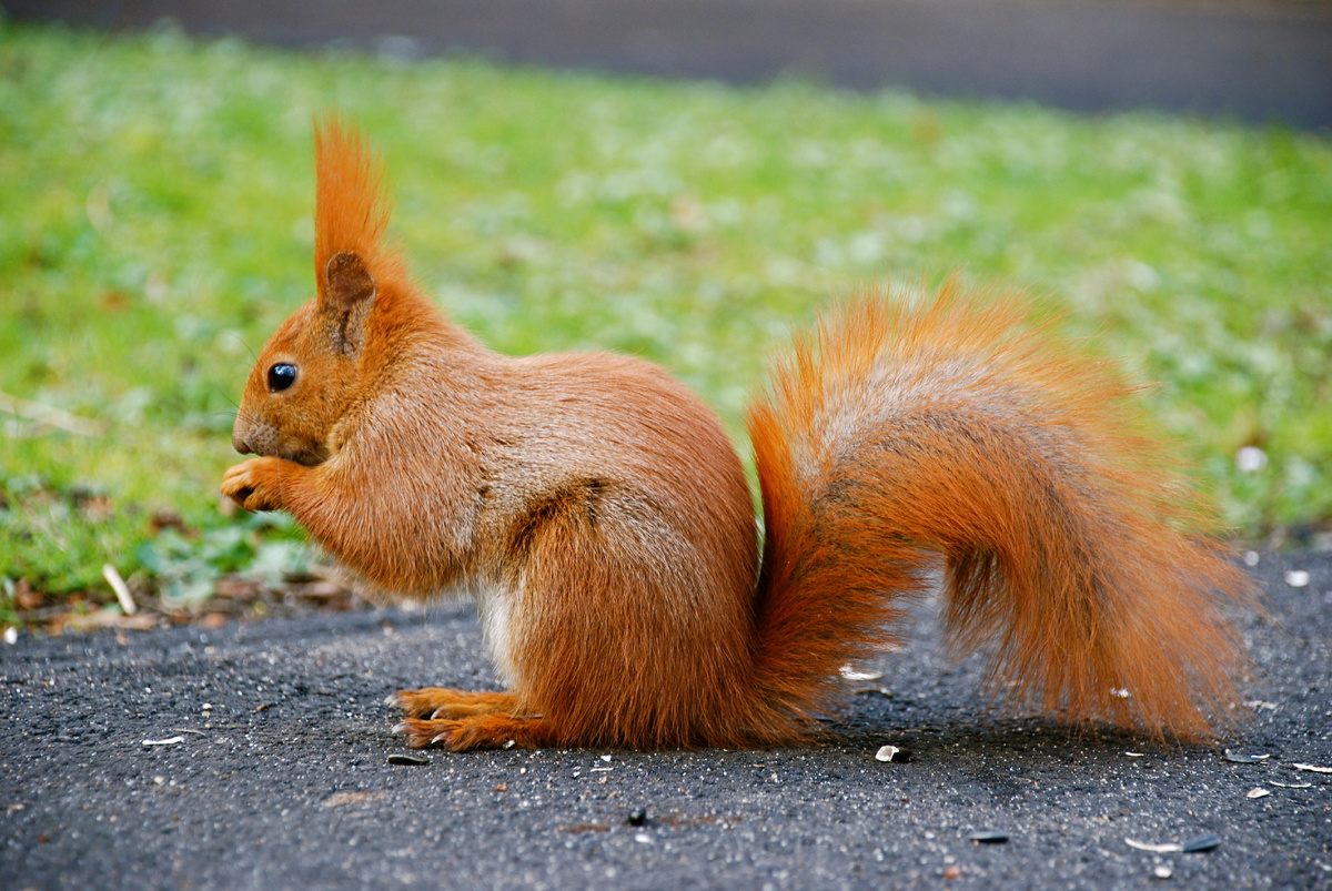 Это и другие изображения взяты из открытых источников