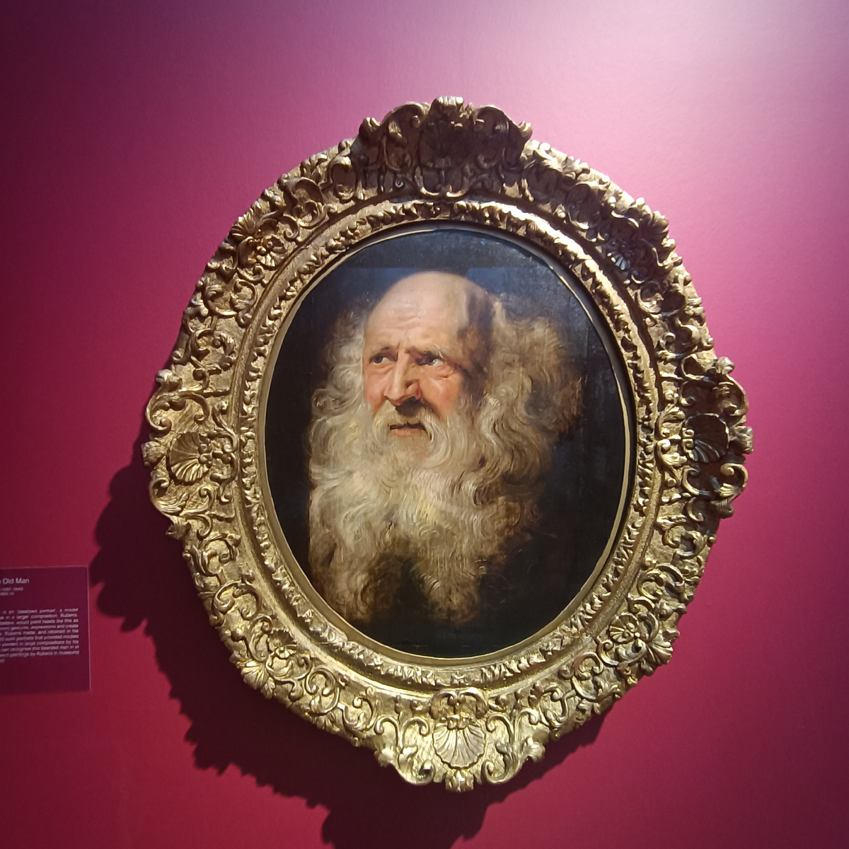 Peter Paul Rubens. 1609. Голова старого мужчины.Hunterian Art gallery. Глазго. Шотландия . Фото автора 