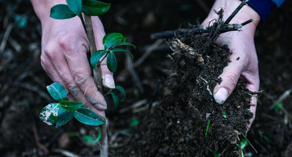    Yang Wenbin/XinHua / www.globallookpress.com