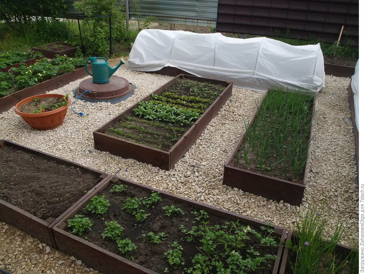 Фото с сайта: https://autosprite.ru/foto/mejdu-gryadok-ne-rosla-trava