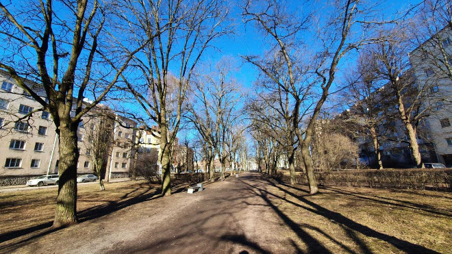 Фото: администрация Выборгского района Ленобласти