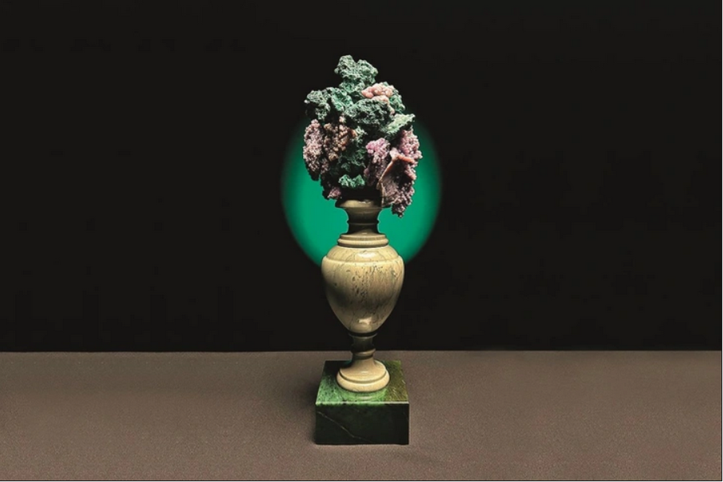    Фото: пресс-служба СОСПП