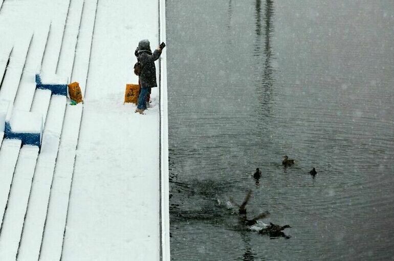    Дмитрий Белицкий / АГН «Москва»