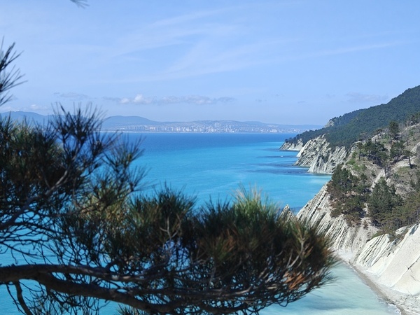    Фото: Юрий Серебренников/BFM Кубань