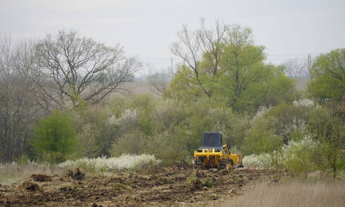    Фото t.me/sergeyi_les