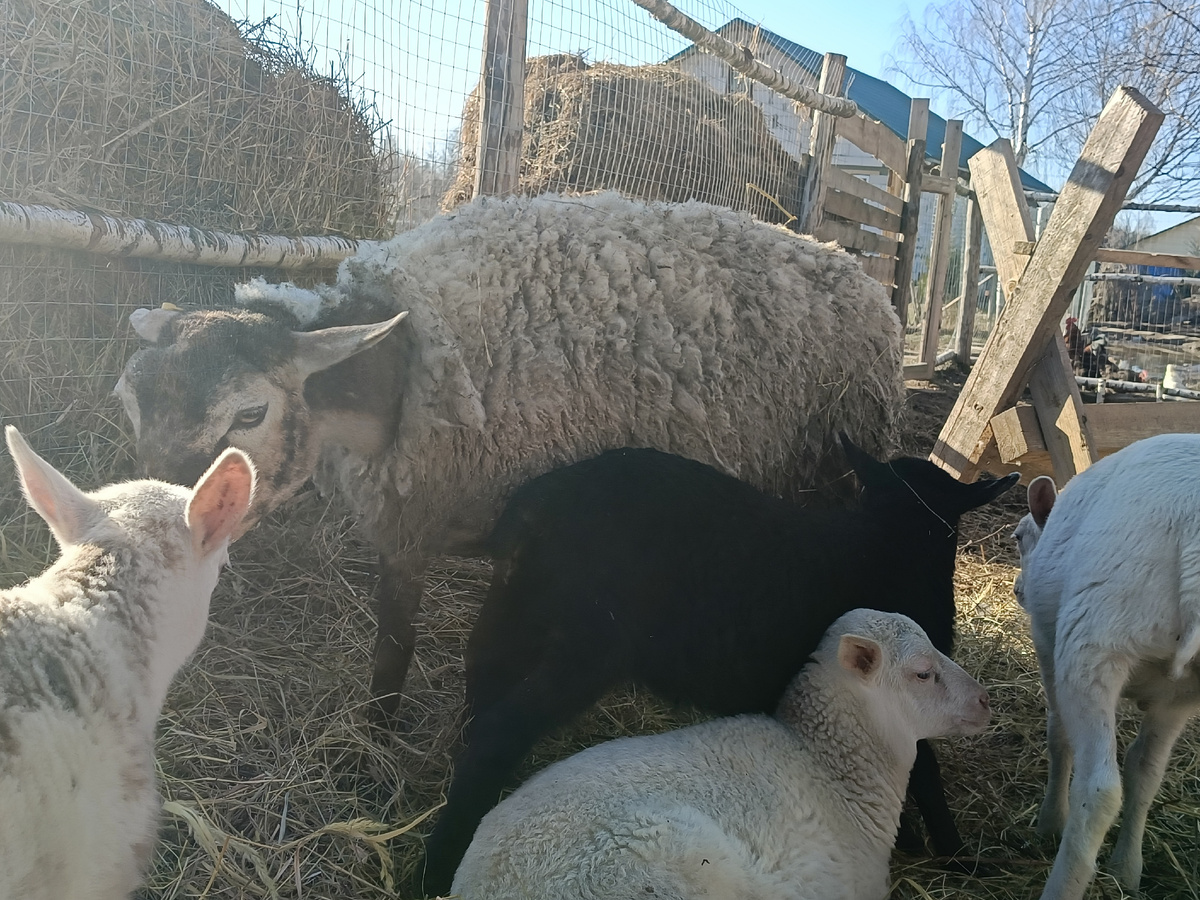 Никуда от них не спрячешься