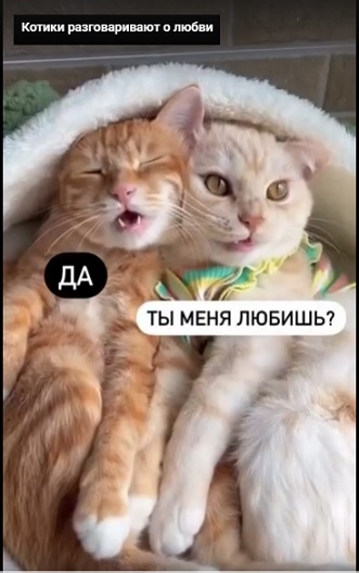 Смотрится мило, хоть и слямзено откуда-то! (из сети)