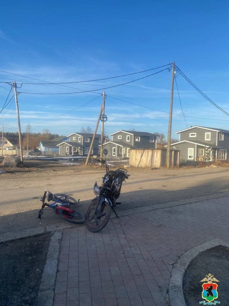    Фото: Полиция Карелии